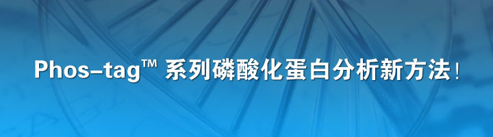 Phos-tag ϵ�����ữ�����·�����