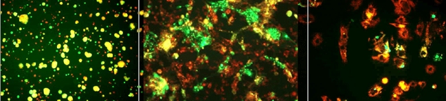 3014725217357803.jpg 3014725217357803.jpg