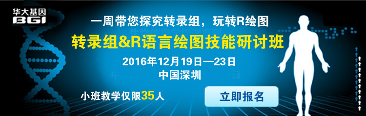 ת¼��&R���Ի�ͼ�������ְ�