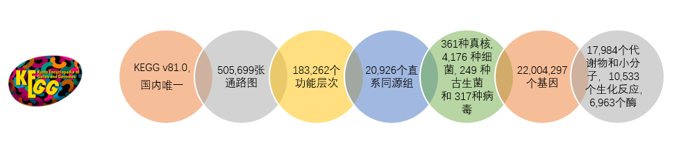 1499676600105803.png 13.1.png