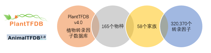 1499676689122197.png