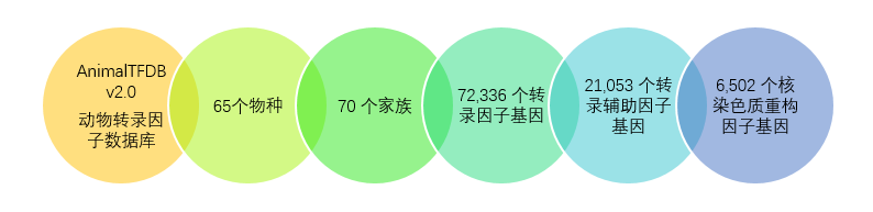 1499676689371341.png