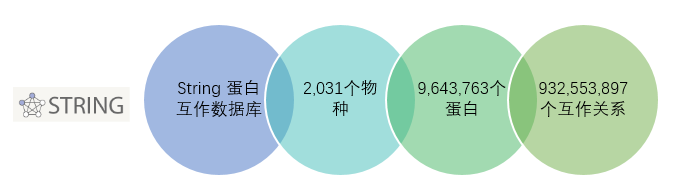 1499676815136570.png 16.png