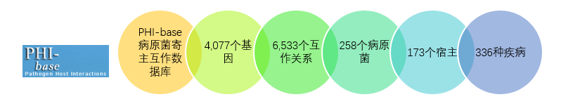 1499676835115737.png 17.png