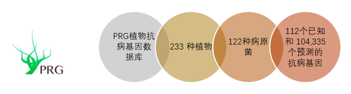 1499676852868741.png 18.png