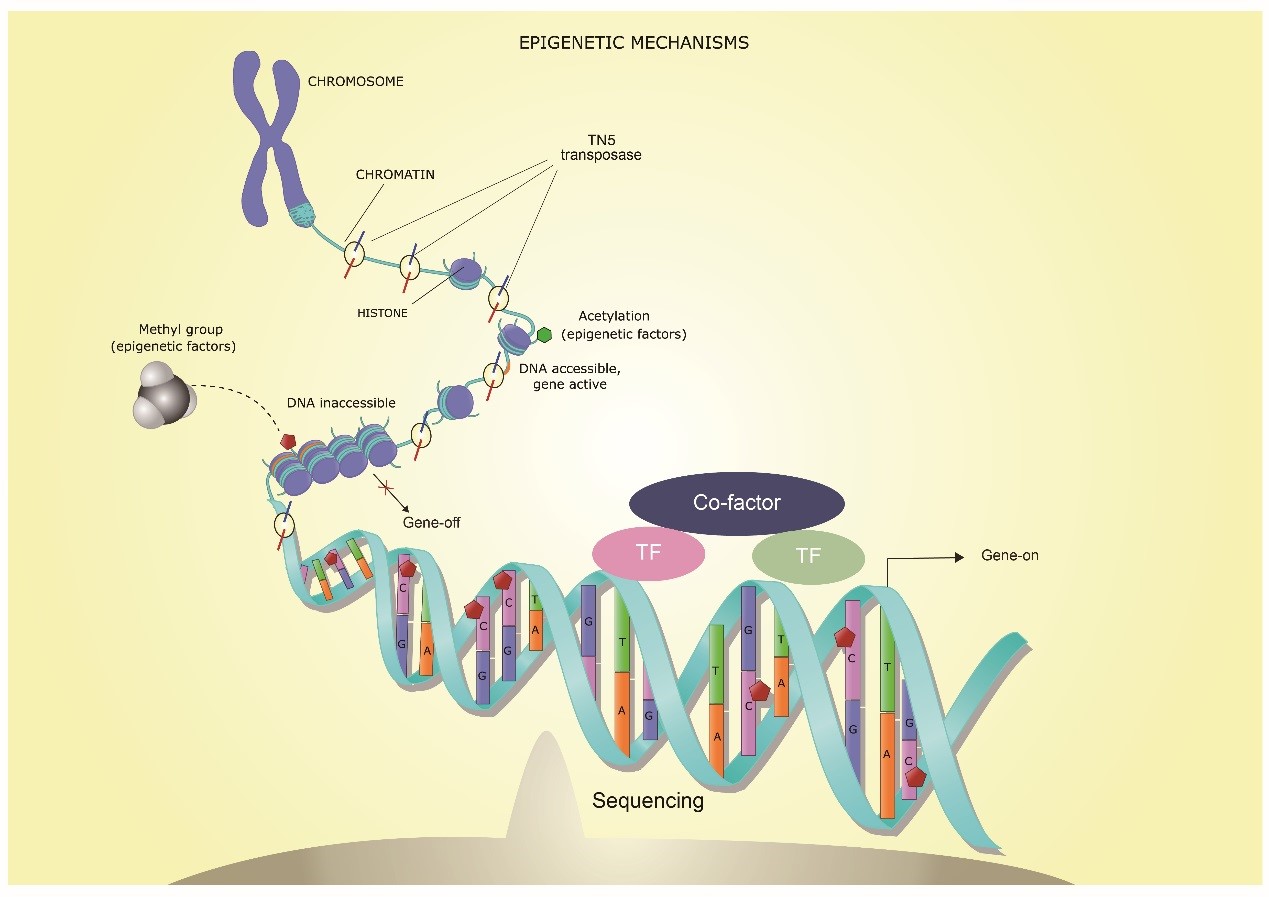 1511340297165983.jpg 1.jpg