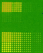 随时升级、无限应用——全球首款具备成像和Western Blot的多功能酶标仪