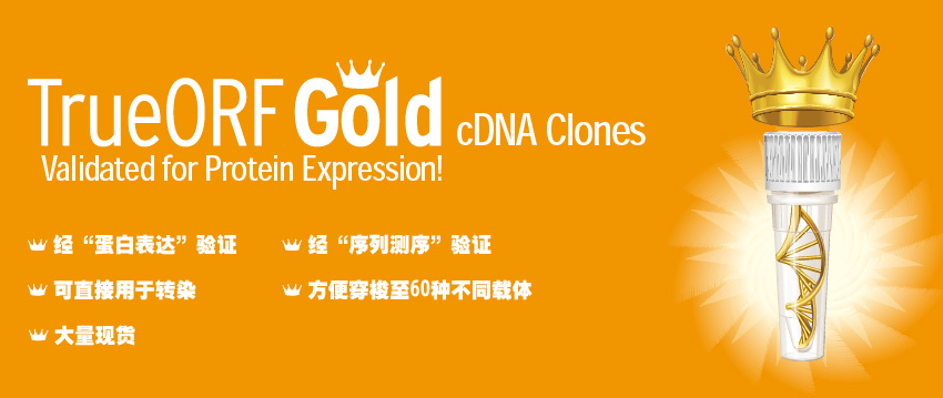 TrueORF GOLD cDNA Clones