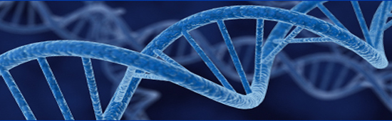 �Ӻ��ᵽ���ݻ�����ѧ�������
���ڿƼ���ǰ��