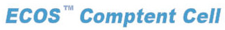 ECOS Comptent Cell