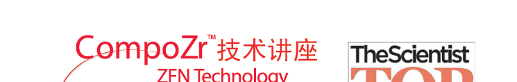 CompoZr �������� ZFN Technology 
