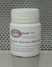 SeranaţѪ��׵���