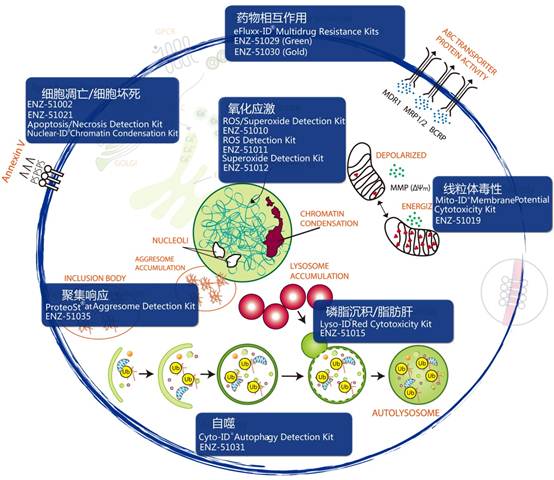Ԥ�ⶾ��ѧ ��ͼ