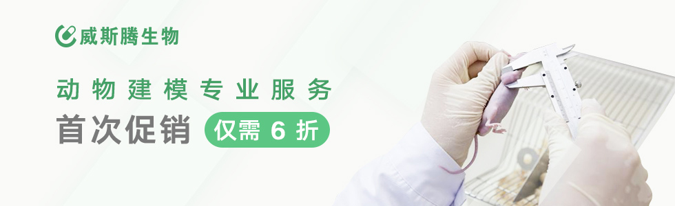 动物建模专业服务！首次促销6折优惠！