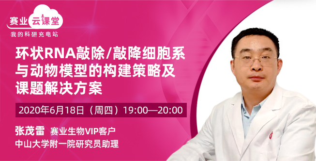 环状RNA敲除/敲降细胞系与动物模型的构建策略及课题解决方案