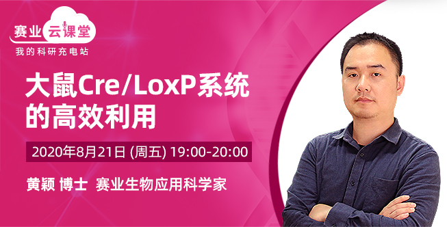 大鼠Cre/LoxP系统的高效利用