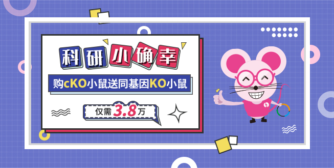 科研小确幸 购cKO小鼠送同基因KO小鼠 仅需3.8万