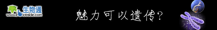 ���������Ŵ���