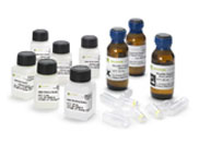 CpGenome快速亚硫酸盐修饰试剂盒