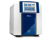 ViiA 7实时定量PCR仪