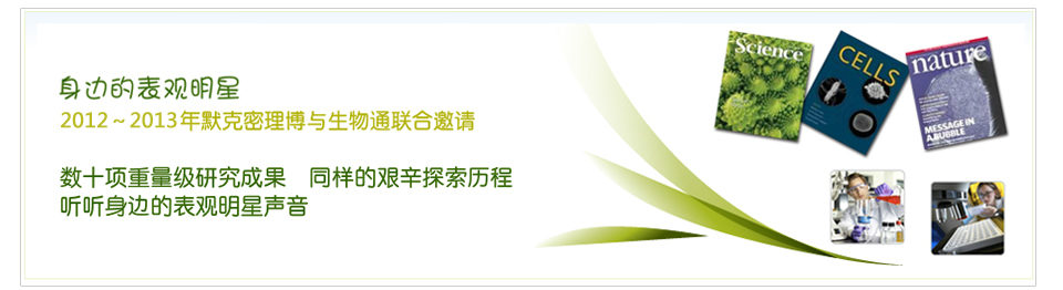 2012���ߵı�������