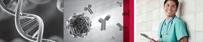 ��Branch DNA �������ٻ������������о�