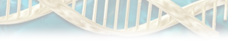 ����---siRNA�ϳɵ�רҵ��˾