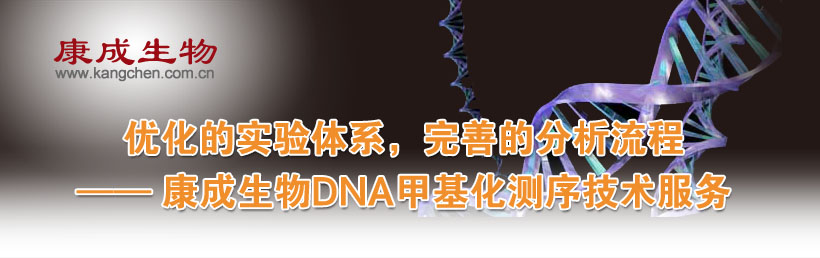 �Ż���ʵ����ϵ�����Ƶķ������� ���� ��������DNA�׻�������������