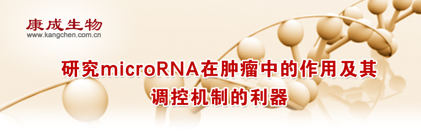 �о�microRNA�������е����ü����ػ��Ƶ�����