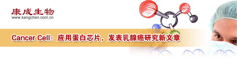 Cancer Cell���·���Ӧ�ÿ������ﵰ��оƬ���������о����ٰ�ת�Ƶ�����