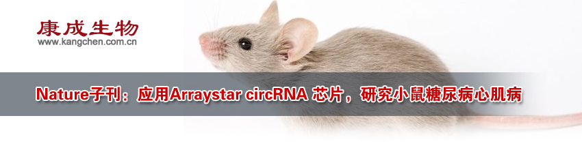 Nature�ӿ���Ӧ��Arraystar circRNA оƬ���о�С�������ļ���