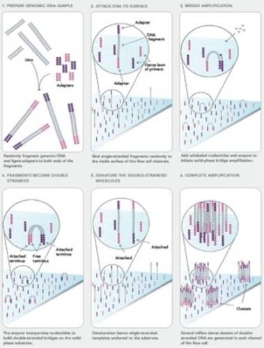 C:\Documents and Settings\shi\����\seq by synth.jpg