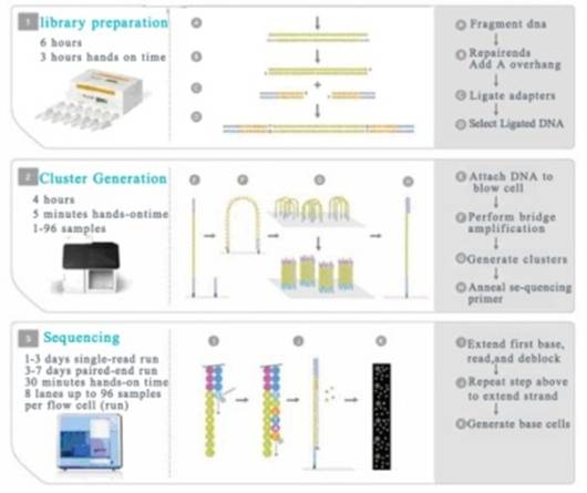 C:\Documents and Settings\shi\����\20110420025025_23_11.jpg