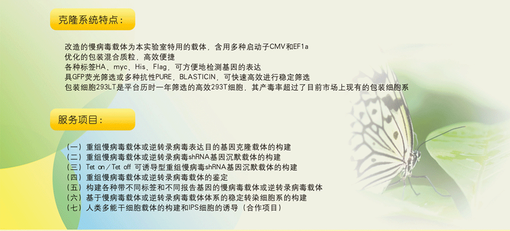 转基因小鼠构建fvb品系仅需￥18000.