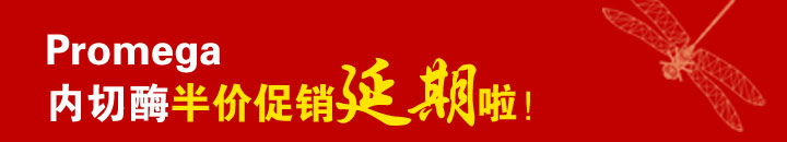 Promega����ø��۴�����������