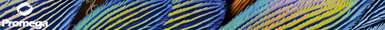 Open Promega eNews