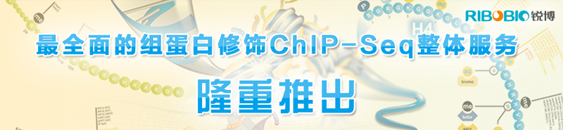  �������Ƴ���ȫ����鵰������ChIP-Seq�������