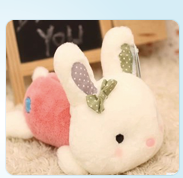 生工抗体研发中心