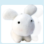 生工抗体研发中心