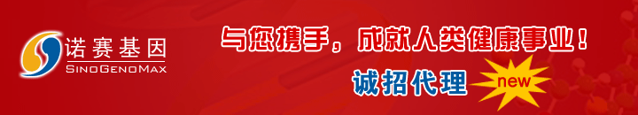 ŵ������-���д���