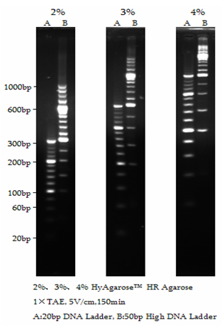 HyAgarose