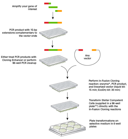 infusion无缝克隆远没有你想的那么普通
