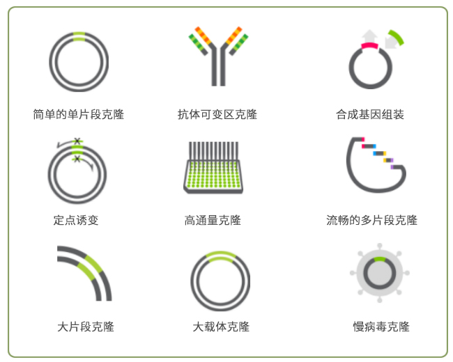 使用in-fusion无缝克隆技术做诱变