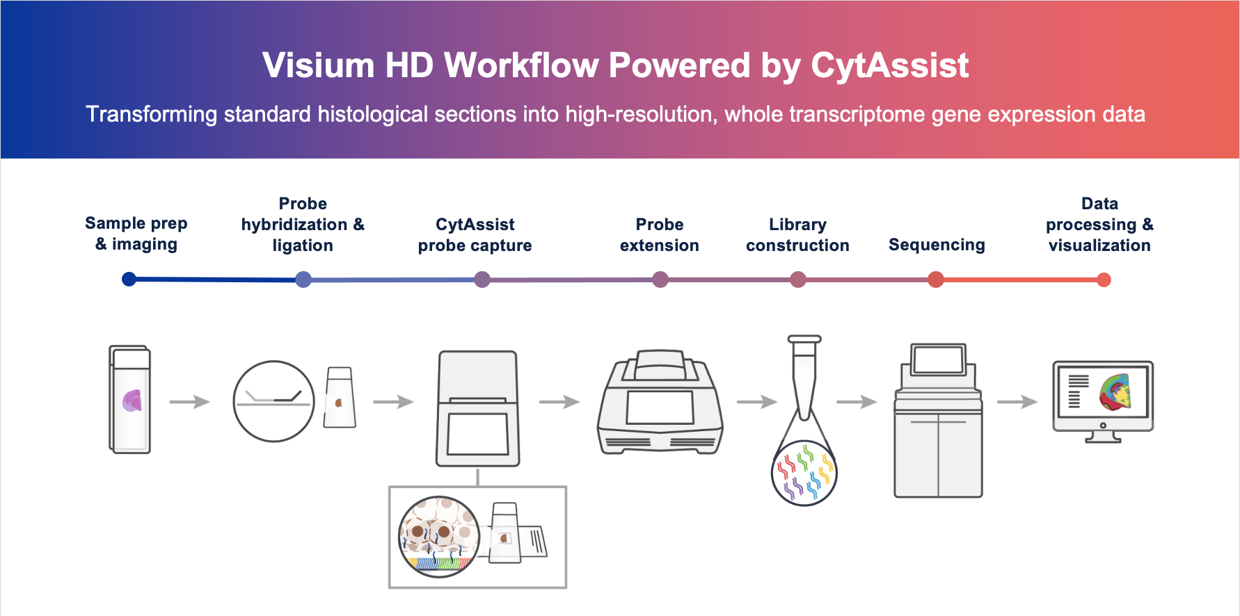 Visium HD Spatial Gene Expression - 10x Genomics