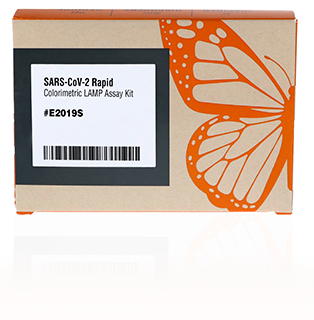 SARS-CoV-2 Rapid colorimetric LAMP Assay Kit 