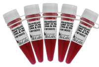 COVID_Product_WarmStartcolorimetricLAMP