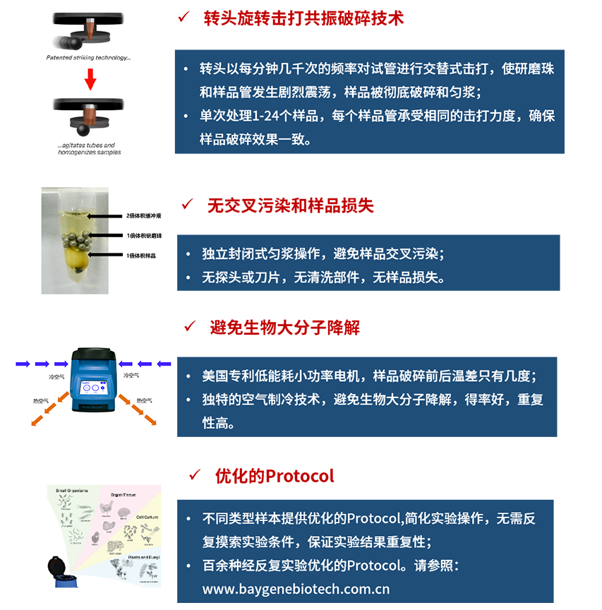 快速高效组织细胞破碎仪Bullet Blender Storm Pro