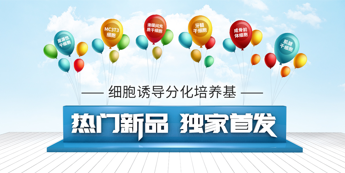 细胞诱导分化培养基
热门新品 独家首发