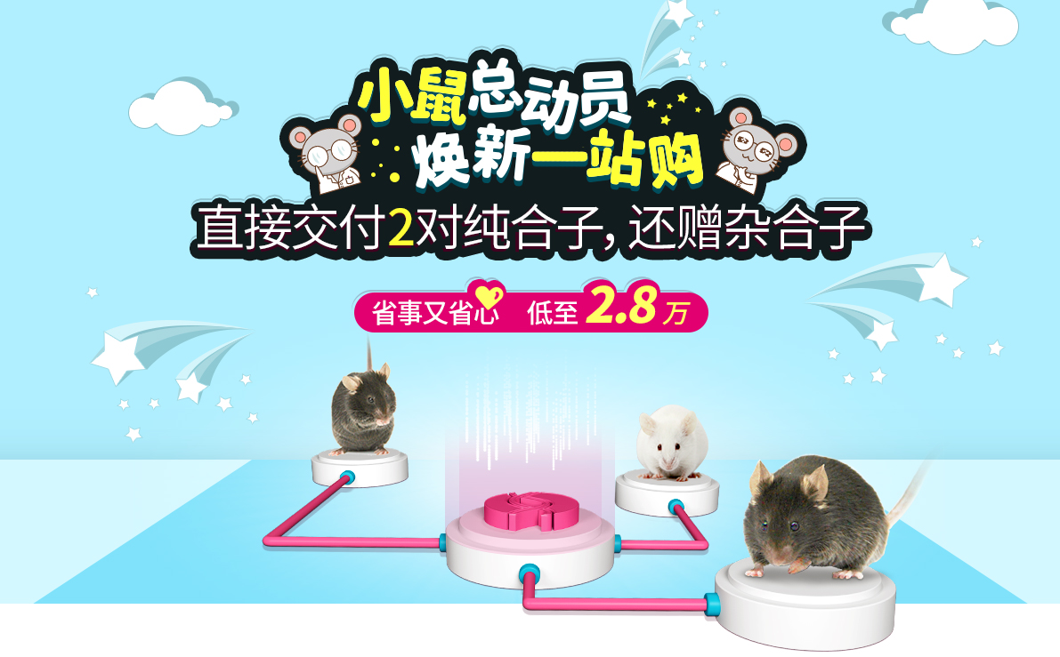 小鼠总动员 焕新一站购 直接交付2对纯合子，还赠杂合子 省事又省心，低至2.8万
