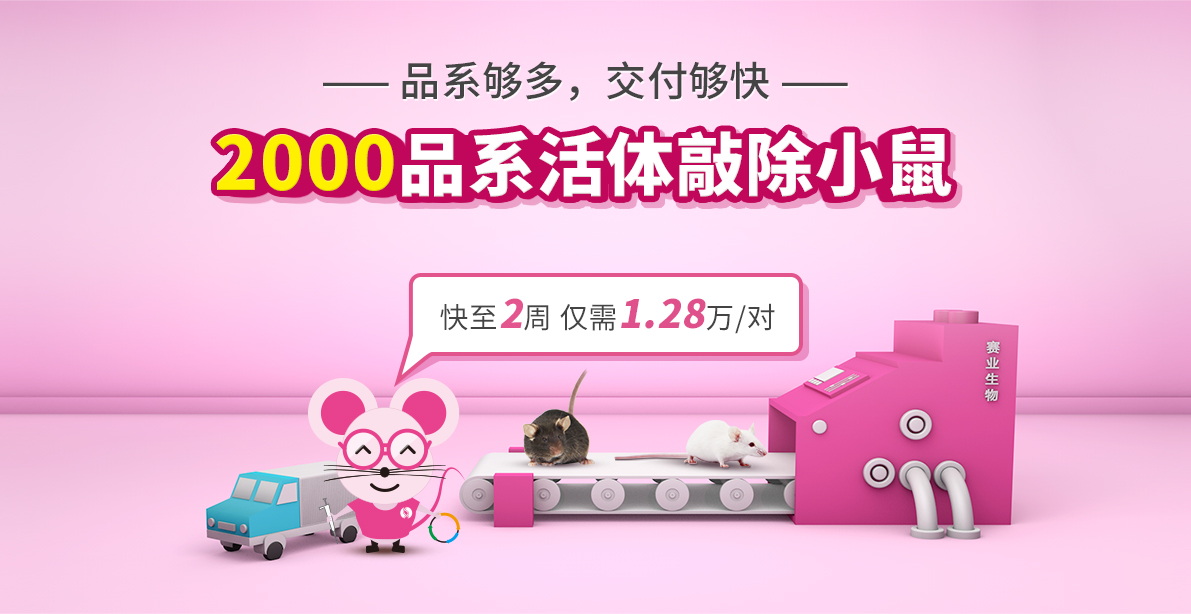 找小鼠 上红鼠  组团拼单抢红鼠，多品系，更便宜  16000品系  低至1.68万